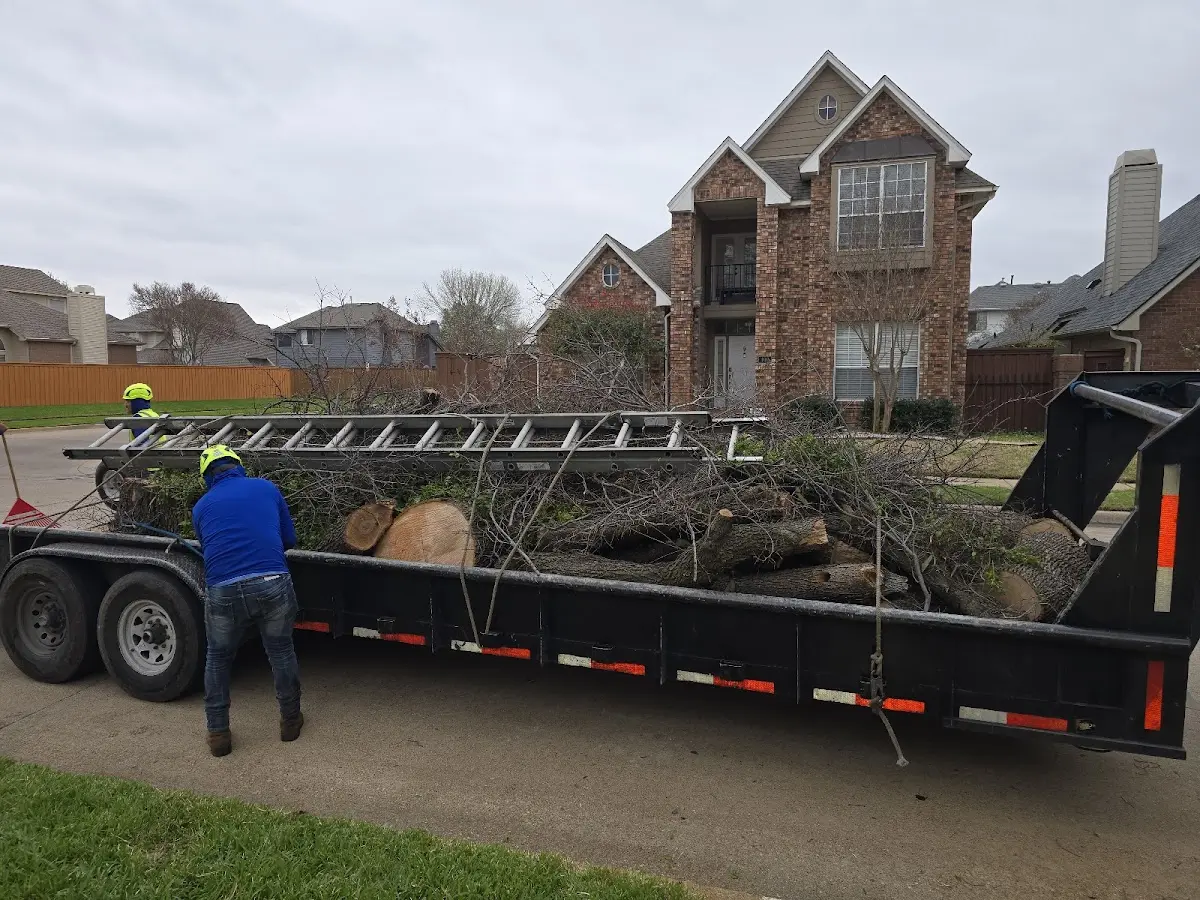 Expert Tree Fertilization with proper safety equipment in Carmen